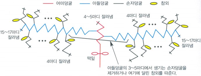 동팔이네 이미지