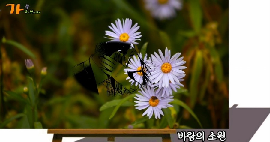 낭만연구소 이미지