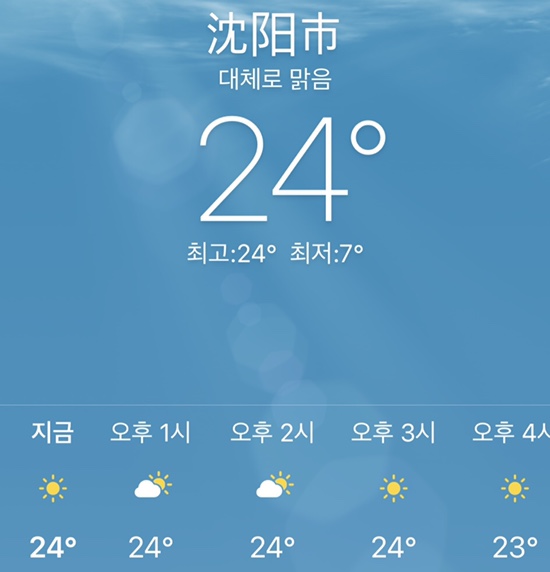 본가발 이미지
