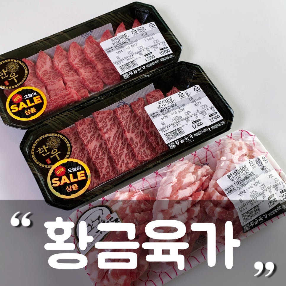 황금육가 이미지
