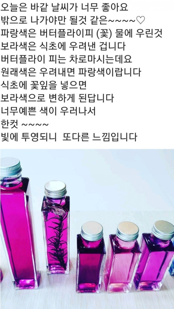 성인당 이미지