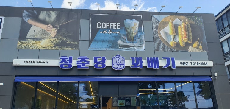 청춘당꽈배기 이미지