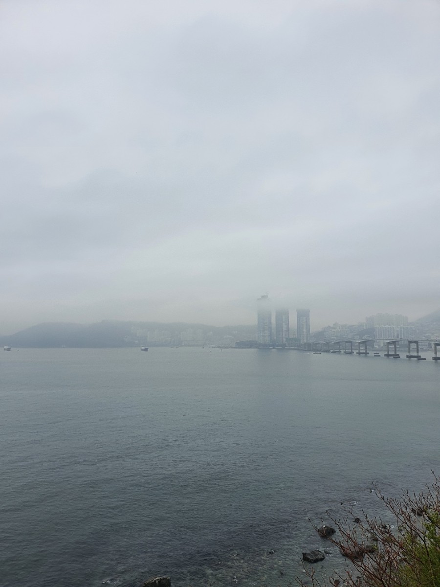 메그네이트비 이미지
