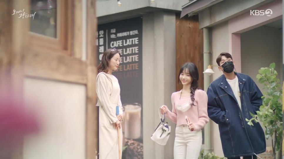 오케이선인장 이미지