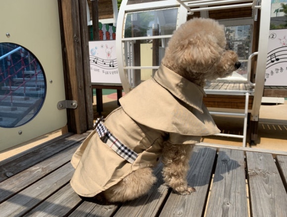 호치민칼디커피 이미지