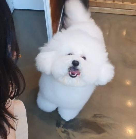 오비티 이미지