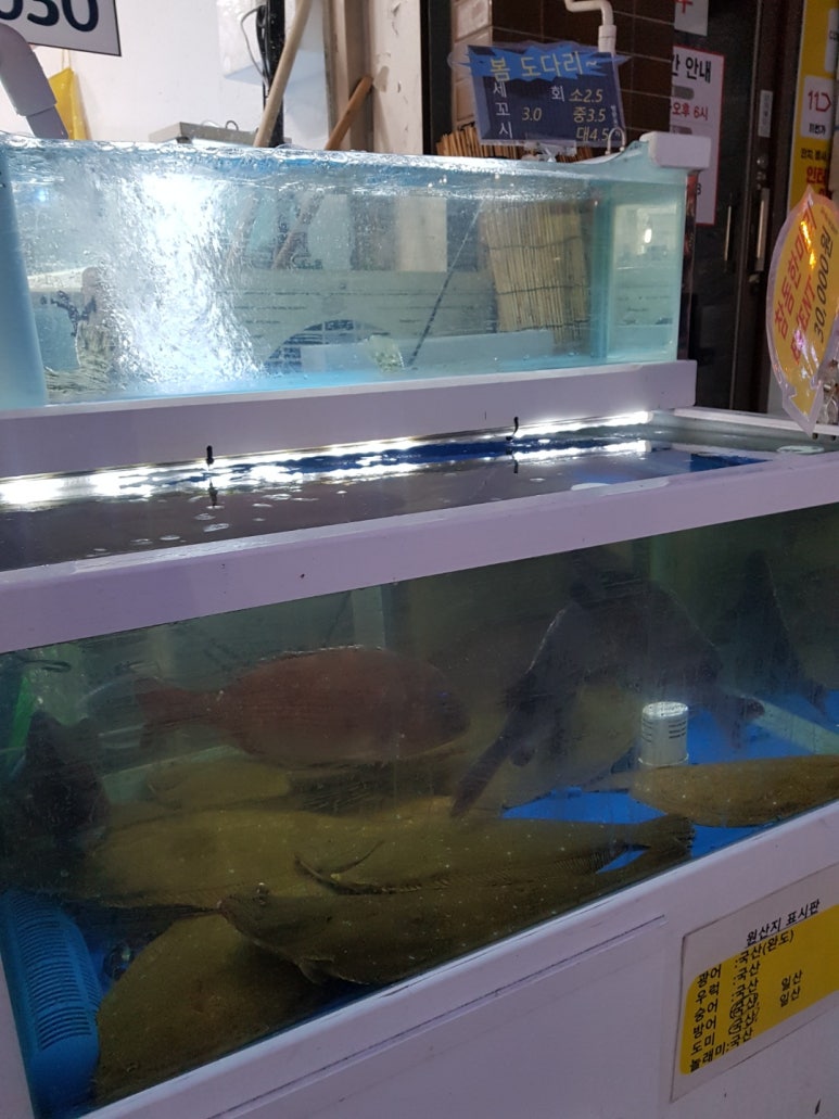 옥이네수산 이미지