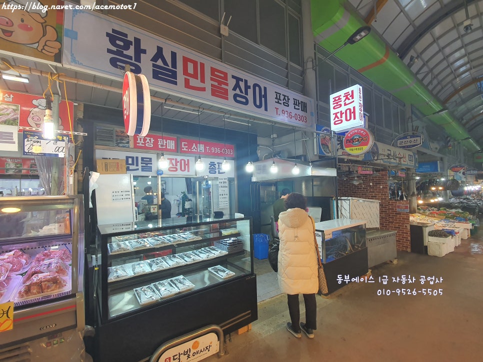 황실장어 이미지