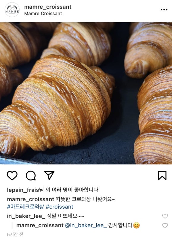마므레크로와상 이미지