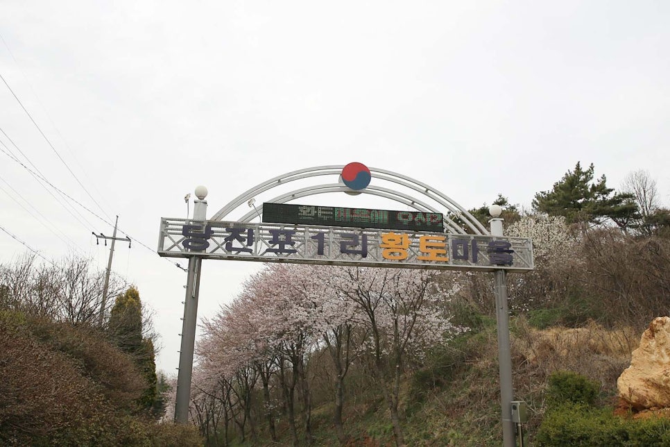 푸레기농어촌체험휴양마을 이미지