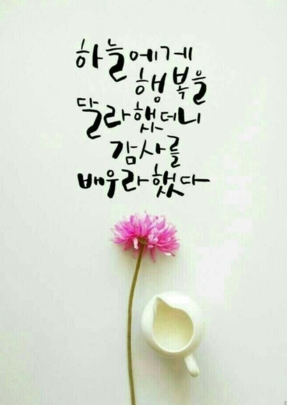 애정야식 이미지