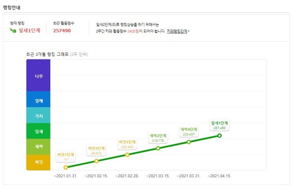 카페블룸 이미지