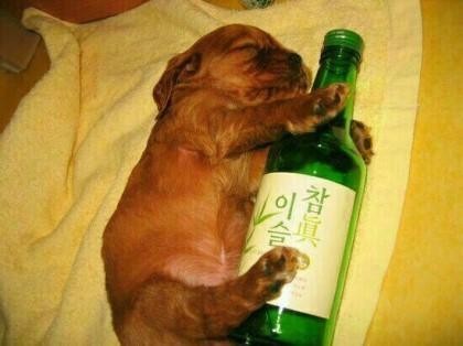 술이땡기는날 이미지