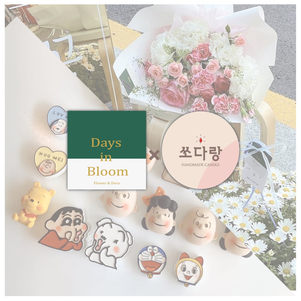 데이즈인블룸 이미지
