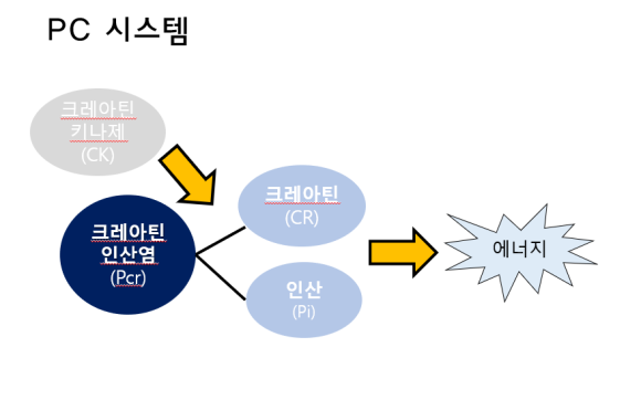 이룸시스템 이미지