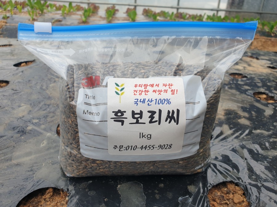 보리씨 이미지