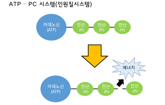 이룸시스템 이미지