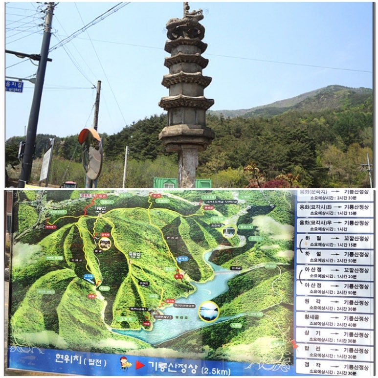 주노코스 이미지