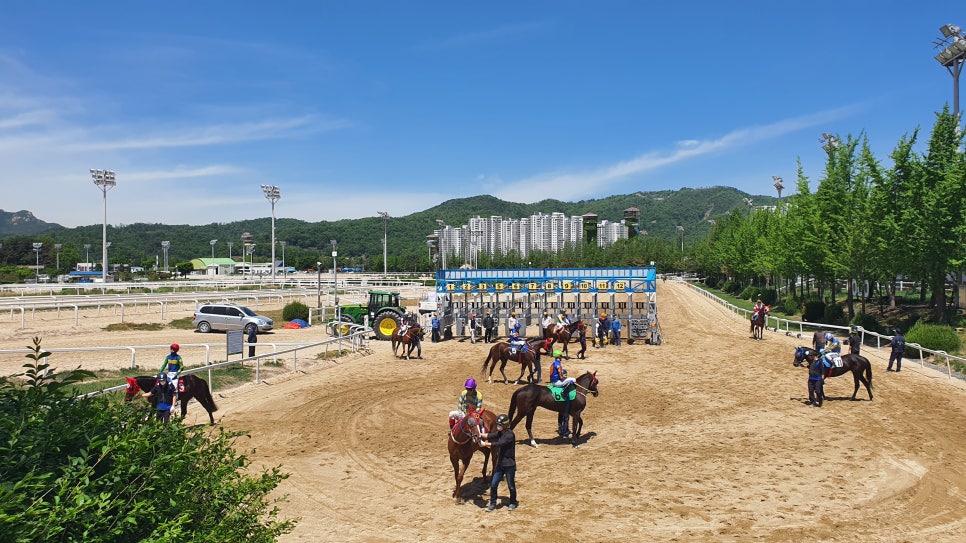 국민축산 이미지
