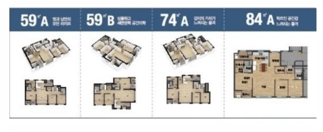 숲속의아침 이미지