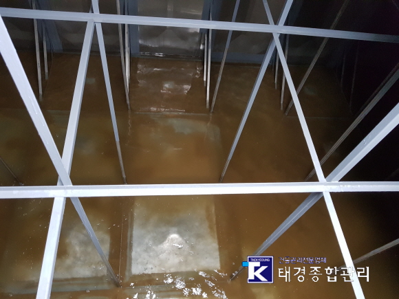 태경종합관리 이미지