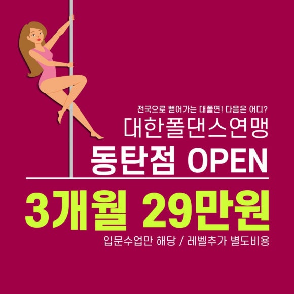 대한폴댄스연맹학원 이미지