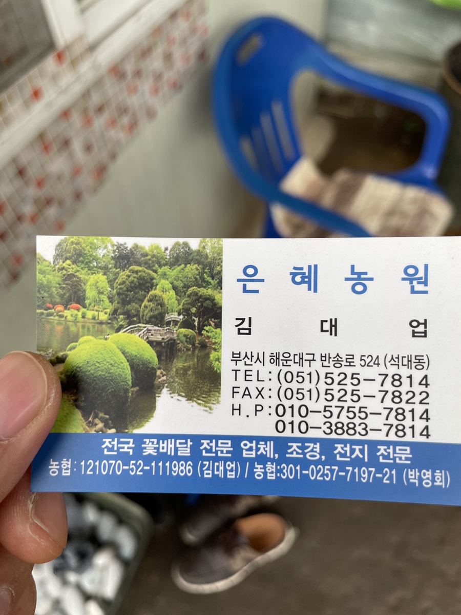 은혜꽃농원 이미지