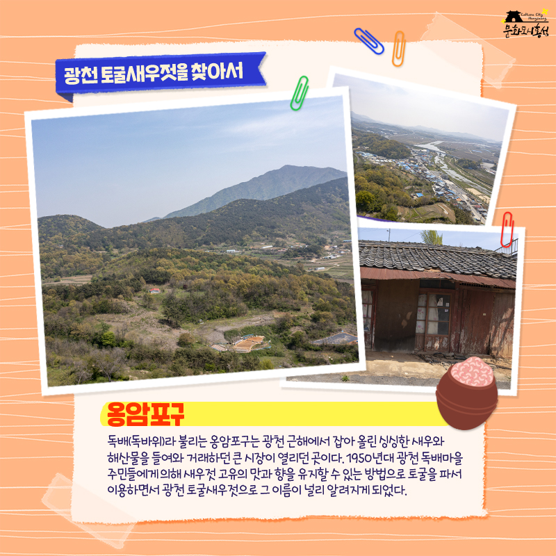 광천독바위토굴새우젓 이미지