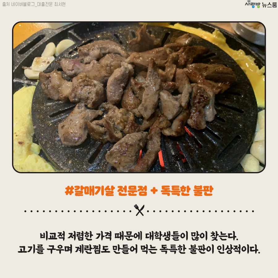 선운갈매기 이미지
