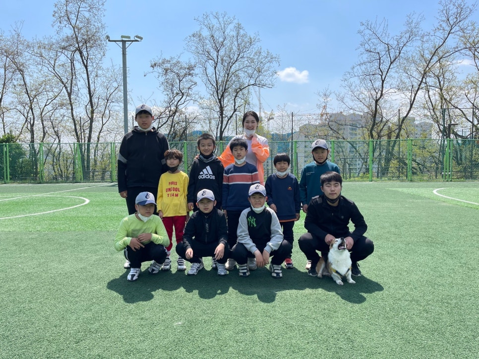 은평구라온리틀야구단 이미지