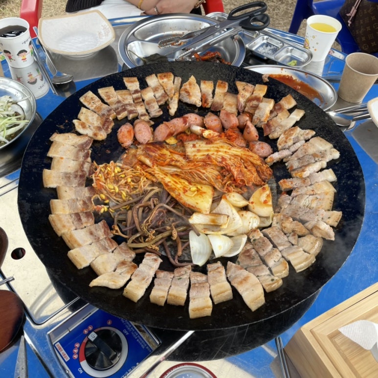 노가드네 이미지