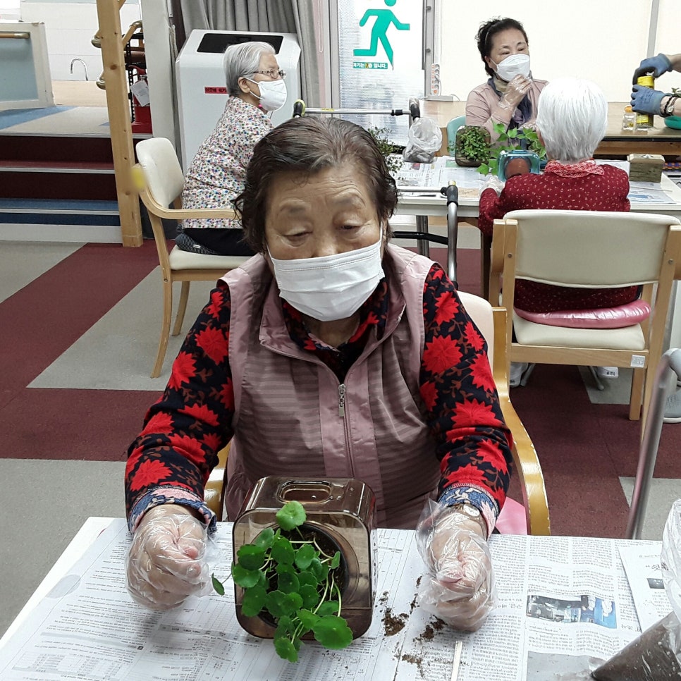 트리안코 이미지