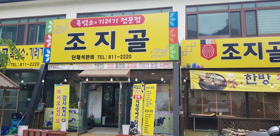 조지골흑염소기러기 이미지