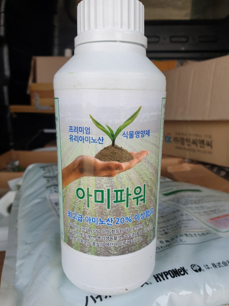프린탈 이미지