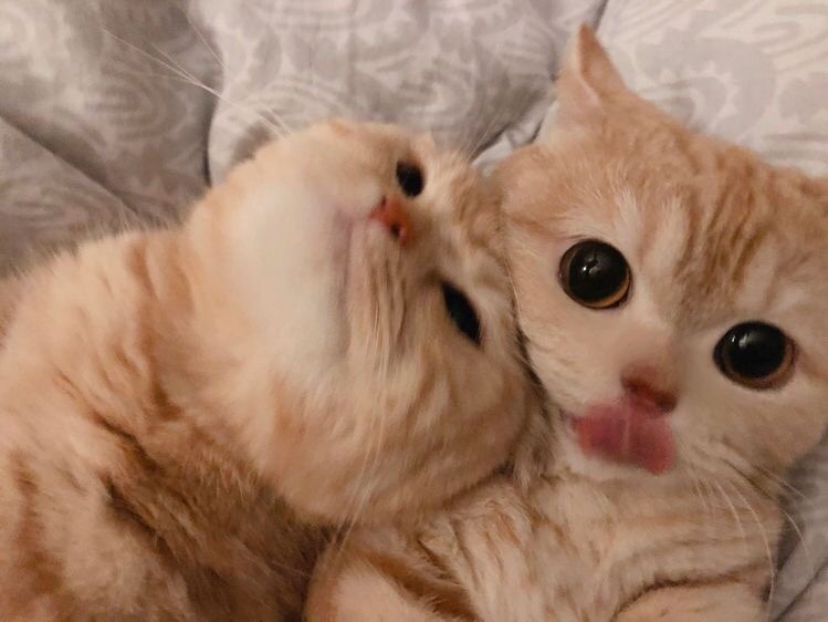 유부부 이미지