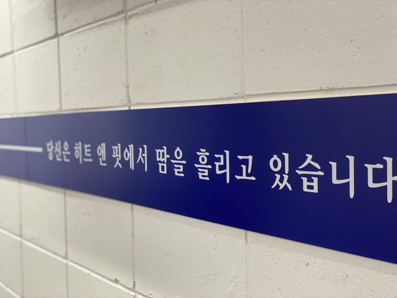 앤핏 이미지