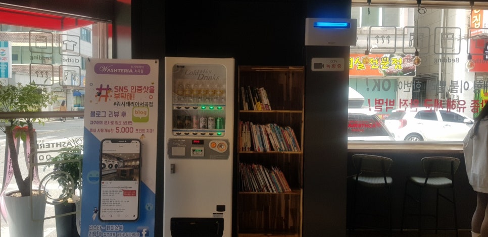 워시테리아전주 이미지
