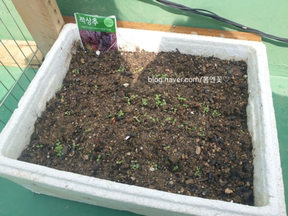 중앙농약사 이미지