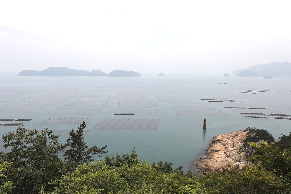 당사도수산물 이미지