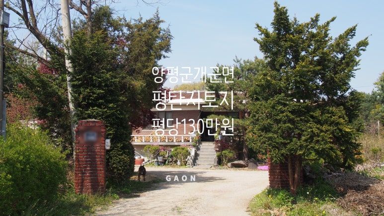 탄지갤러리 이미지
