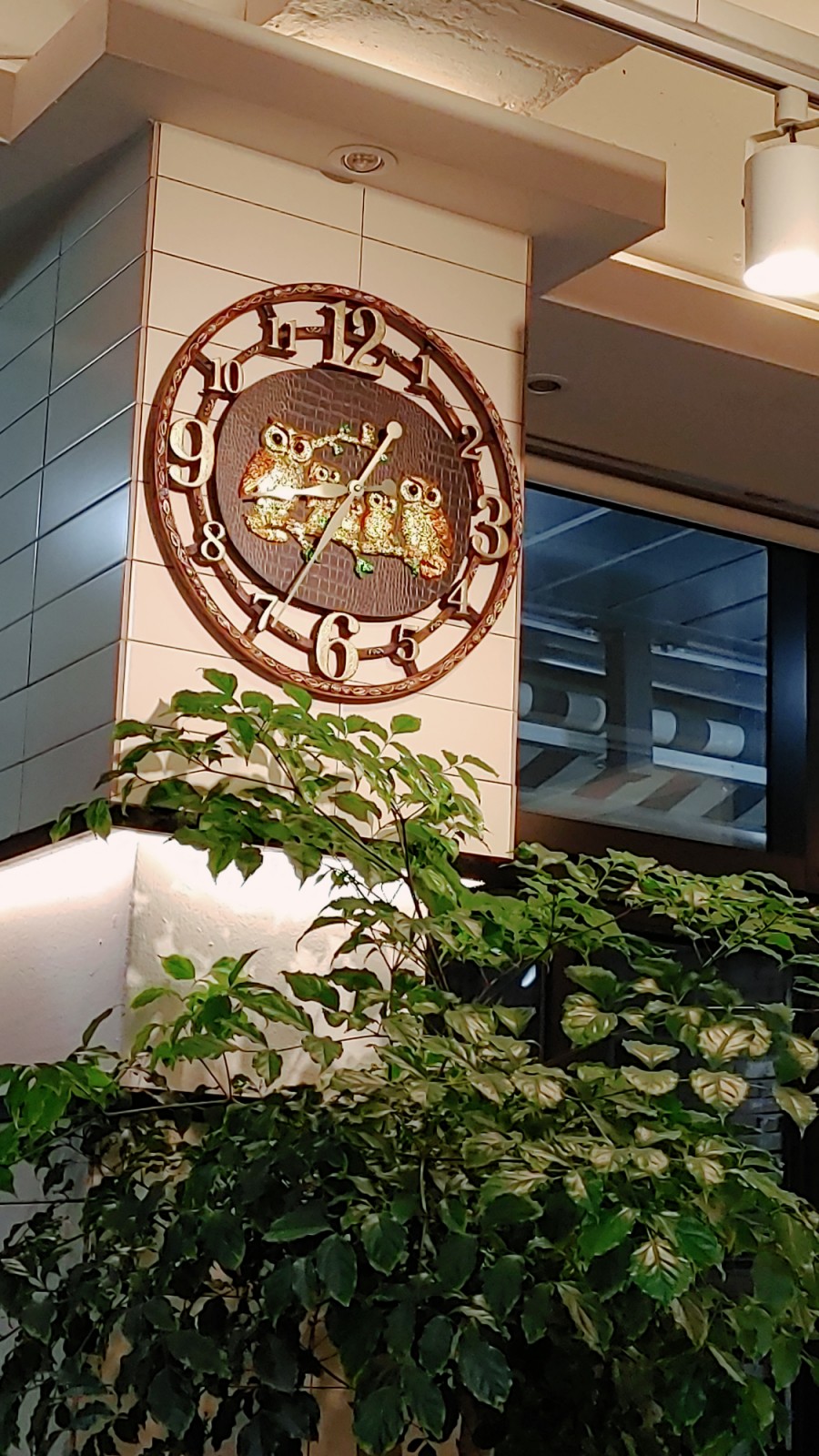 우이동족발향남 이미지
