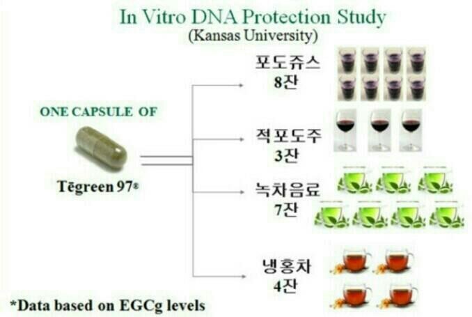 티그린 이미지