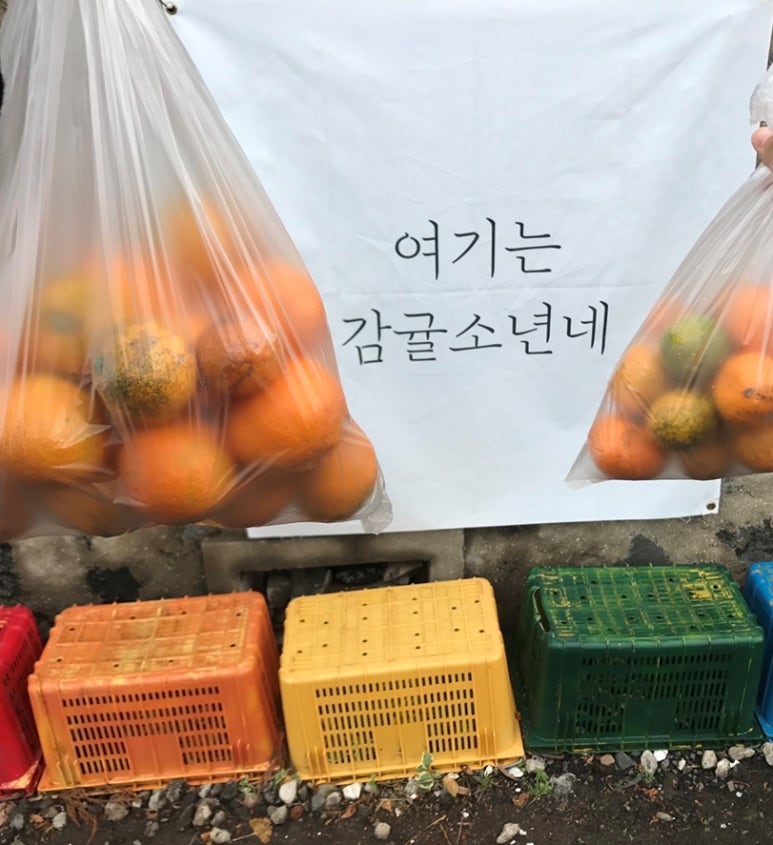 이호농원 이미지