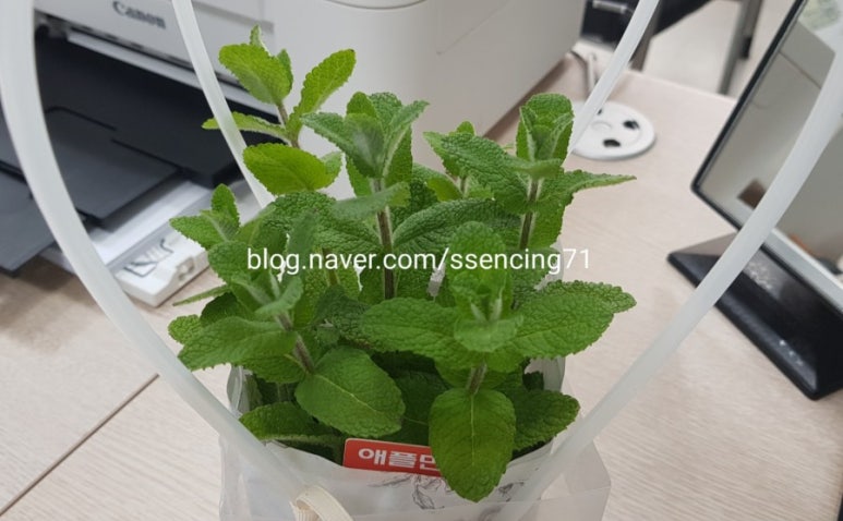 새아스튜디오 이미지