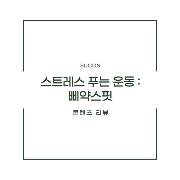 삐약스핏 이미지
