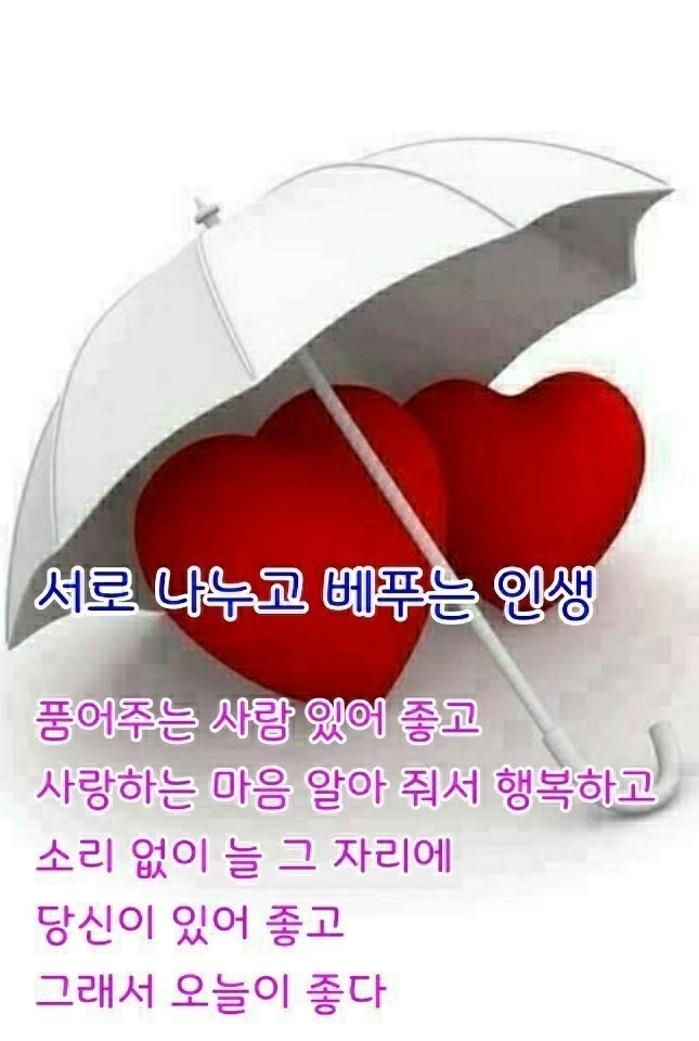 와이에스365 이미지