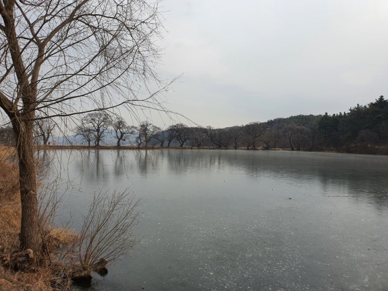 경산여행사 이미지