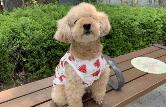 호치민칼디커피 이미지