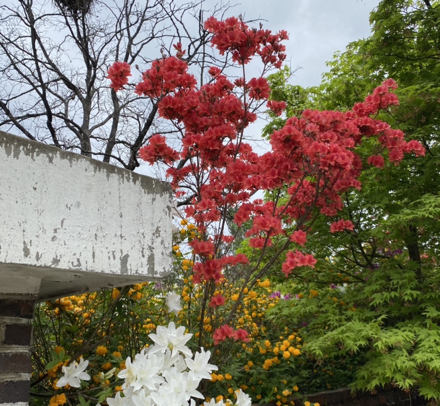 오스테리아주 이미지