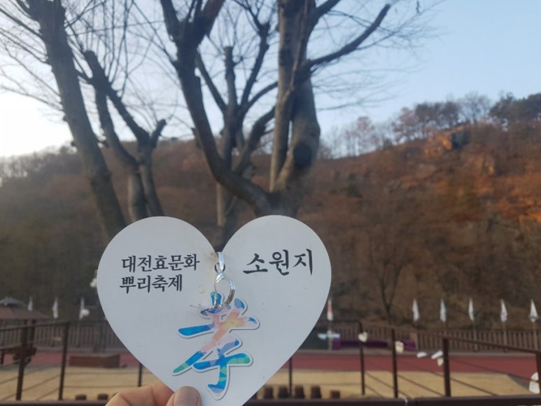 나이테플라워 이미지